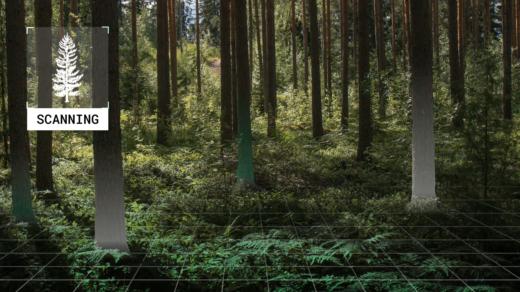 Precision AI Processing